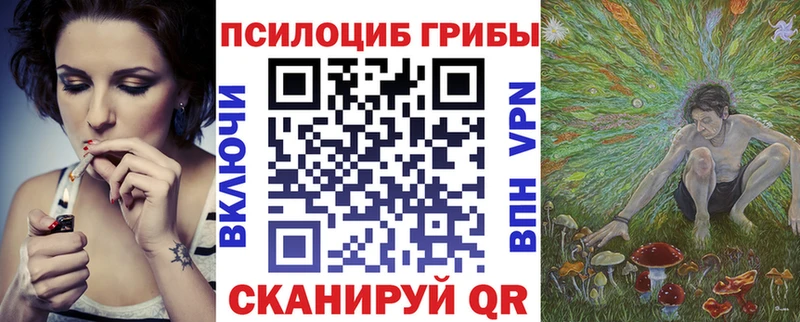 Галлюциногенные грибы Psilocybine cubensis  Купить  Среднеуральск 